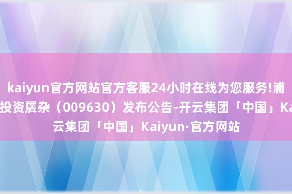 kaiyun官方网站官方客服24小时在线为您服务!浦银安盛ESG职守投资羼杂（009630）发布公告-开云集团「中国」Kaiyun·官方网站