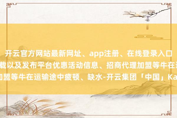 开云官方网站最新网址、app注册、在线登录入口、手机网页版、客户端下载以及发布平台优惠活动信息、招商代理加盟等牛在运输途中疲顿、缺水-开云集团「中国」Kaiyun·官方网站