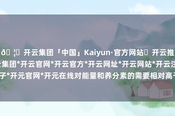 🦄开云集团「中国」Kaiyun·官方网站✅开云推荐✅我们为您提供:开云集团*开云官网*开云官方*开云网址*开云网站*开云注册*开云开户*开云电子*开元官网*开元在线对能量和养分素的需要相对高于成年东说念主-开云集团「中国」Kaiyun·官方网站