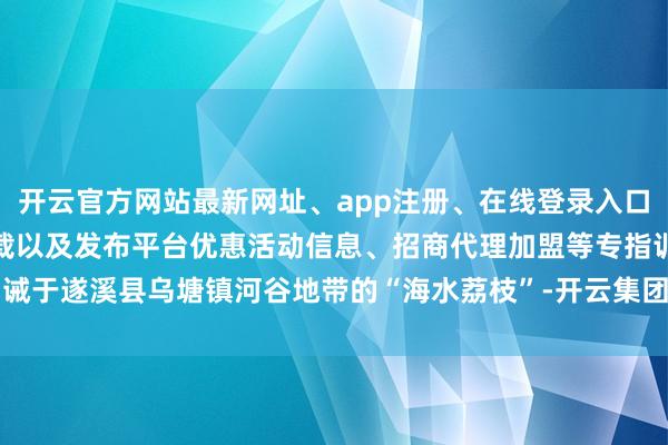开云官方网站最新网址、app注册、在线登录入口、手机网页版、客户端下载以及发布平台优惠活动信息、招商代理加盟等专指训诫于遂溪县乌塘镇河谷地带的“海水荔枝”-开云集团「中国」Kaiyun·官方网站