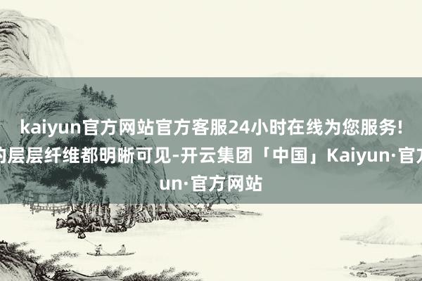 kaiyun官方网站官方客服24小时在线为您服务!牛腩的层层纤维都明晰可见-开云集团「中国」Kaiyun·官方网站